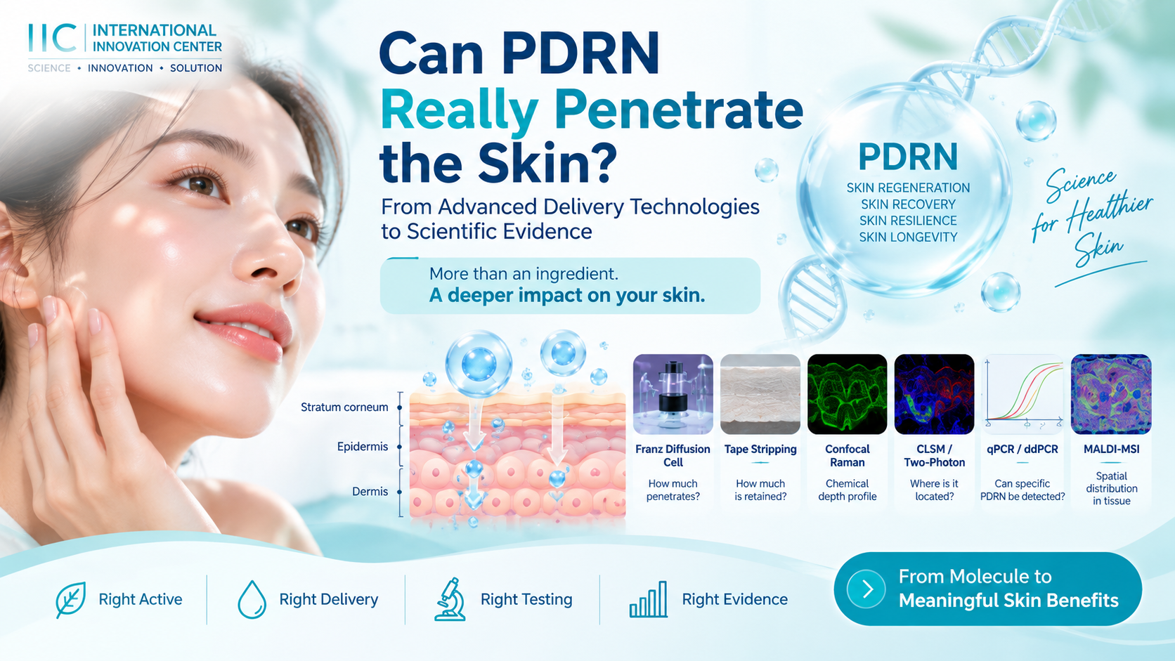 PDRN ซึมเข้าสู่ผิวได้จริงหรือไม่? จาก Skin Delivery Technology สู่เทคนิคพิสูจน์การซึมผ่านผิวอย่างเป็นวิทยาศาสตร์